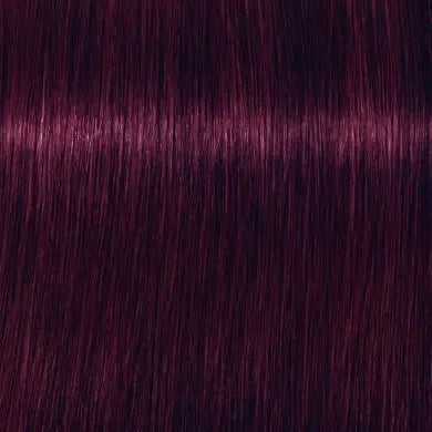 שוורצקופף צבע לשיער אינטנסיבי איגורה - יופילי