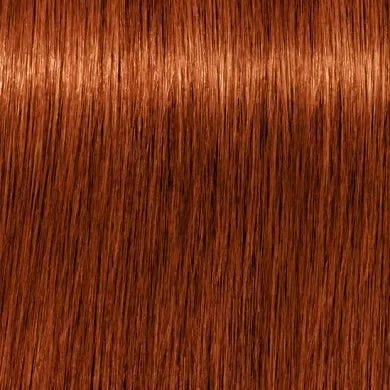 שוורצקופף צבע לשיער אינטנסיבי איגורה - יופילי